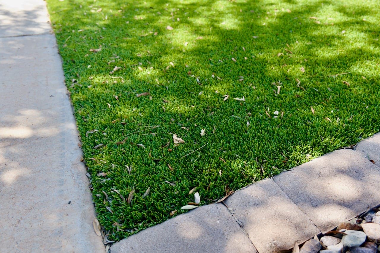 Dry leaves and small debris scattered across artificial turf beside a concrete edge.