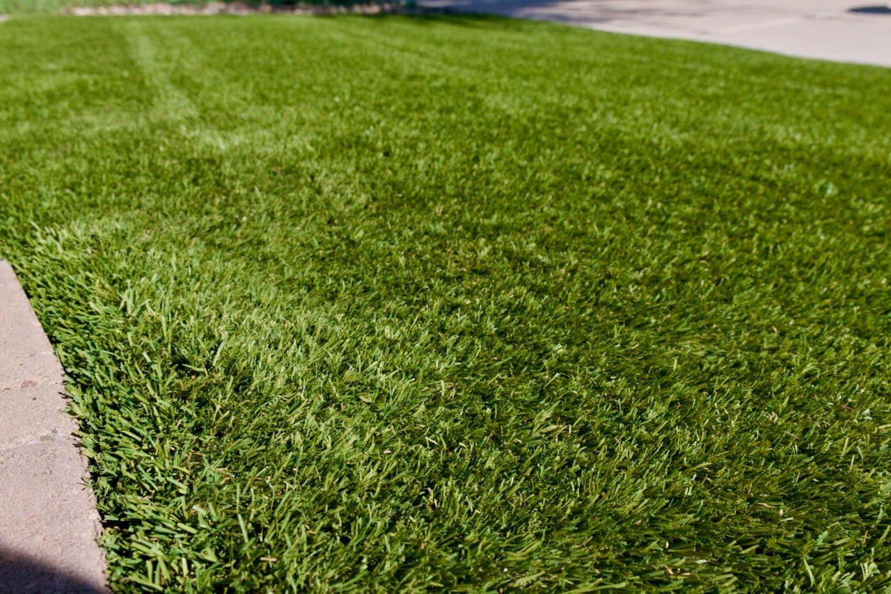 Close-up of artificial turf blades beside a concrete curb.